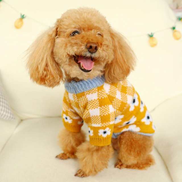 イエロー/レッド ドックウェア 服 犬服 犬 つなぎ 小型犬 ドックウェア ペット服