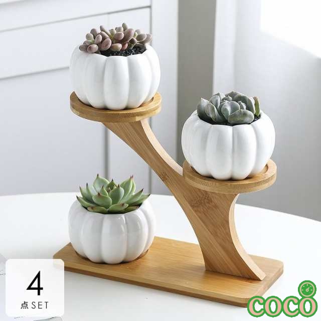 【coco】植木鉢 モノトーン ギフト かわいい プランター 通販 プレゼント 花 鉢植え ホワイトハイセンス 花瓶 栽培 母の日 おしゃれ ブラウン ガーデニング