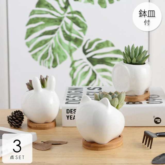植木鉢 花瓶 プランター おしゃれ 鉢植え 花 栽培 プレゼント ギフト 母の日 通販 かわいい ガーデニング ホワイト華やか ベーシック ラグジュアリー