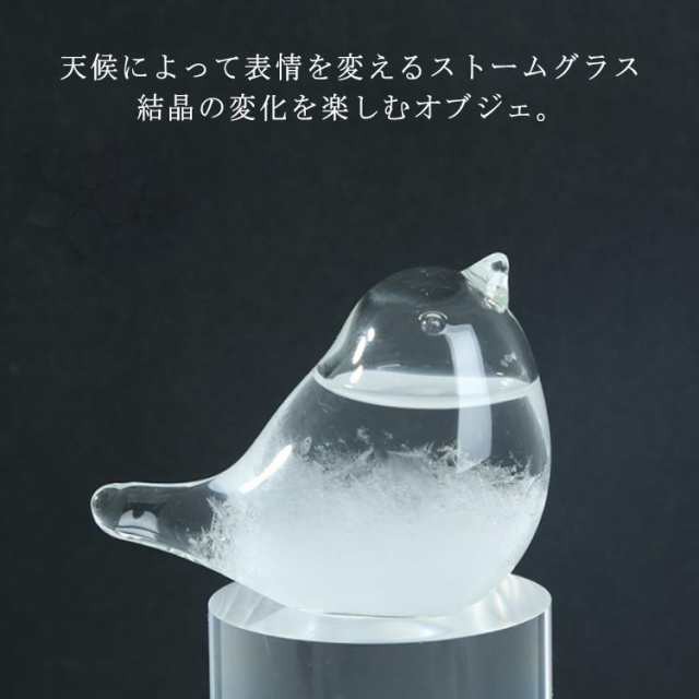 ストームグラス 鳥 ひよこ おしゃれ テンポドロップ 天気ボトル 天気予報ボトル ストーム瓶 気象予報 結晶観察器 インテリア 雑貨 置物