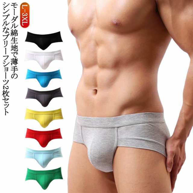 男性下着 セクシー ビキニブリーフ 2枚組 セクシー ブリーフパンツ 男性用下着 ビキニ水着 ブリーフ メンズ 前閉じ ローライズ ビキニ ビキニブリーフ シンプル Tバック 男性水着 おしゃれ イン