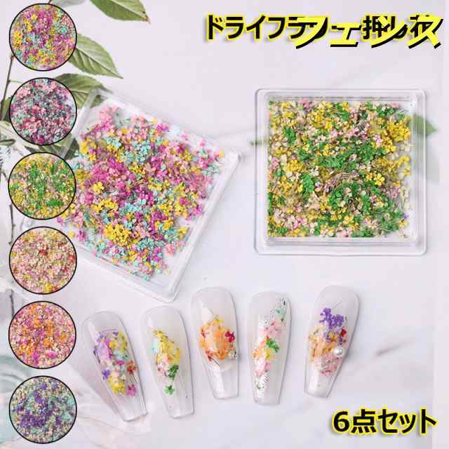 ドライフラワー ネイル押し花 6点セット 高品質 花びら ネイルパーツ レジン用 花 デコパーツ ハンドメイド 工房 用品 美甲 スターフラワー 3Dネイル プリザードネイル飾品 ネイルアート ナチュ